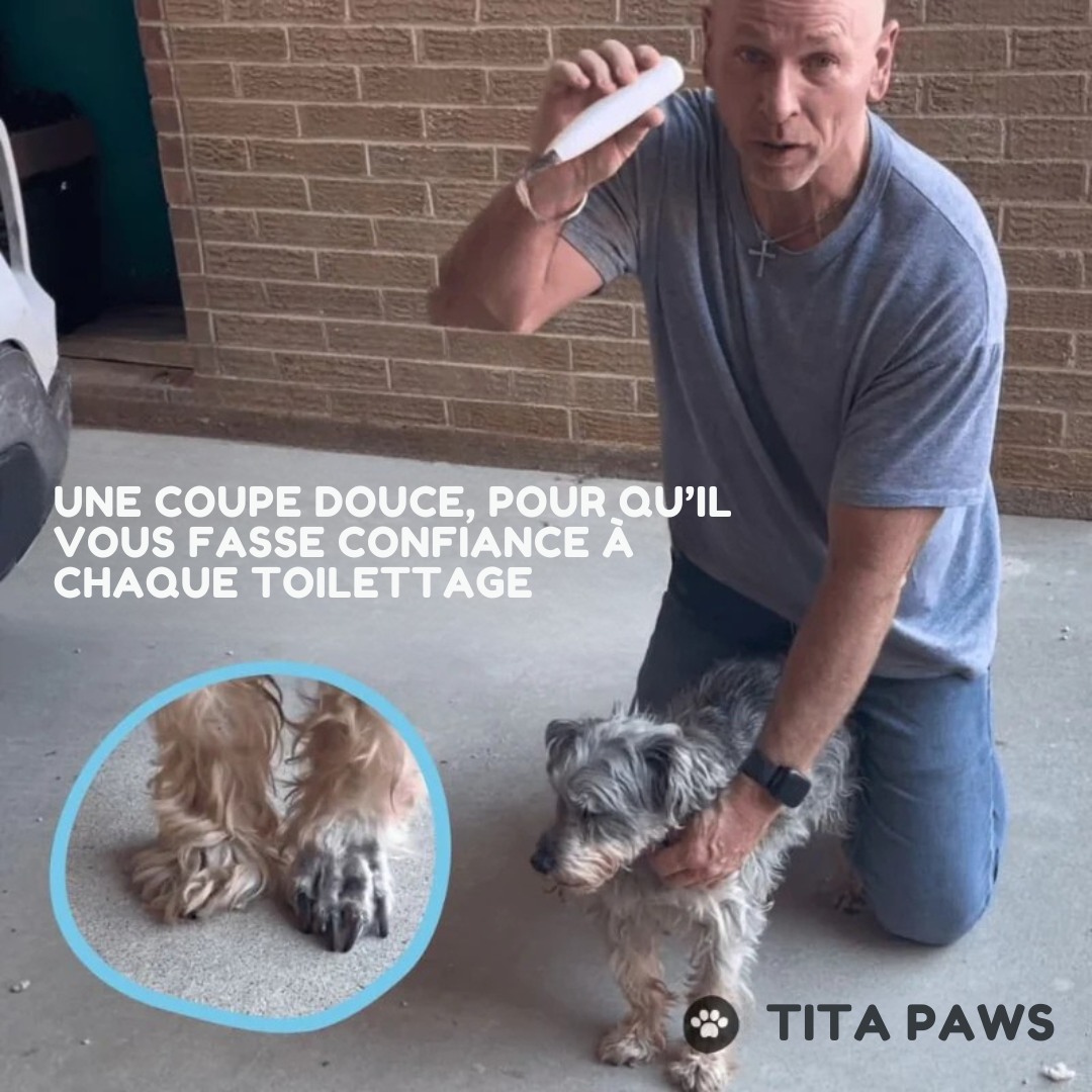 Tita Paws Pro™ – La précision douce qui protège ses pattes