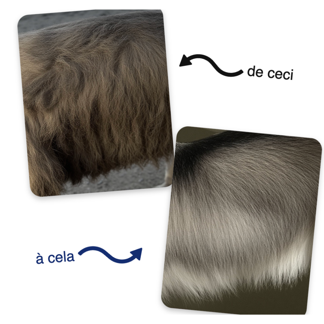 ZenBrosse Pro – Brosse vapeur apaisante pour animaux.