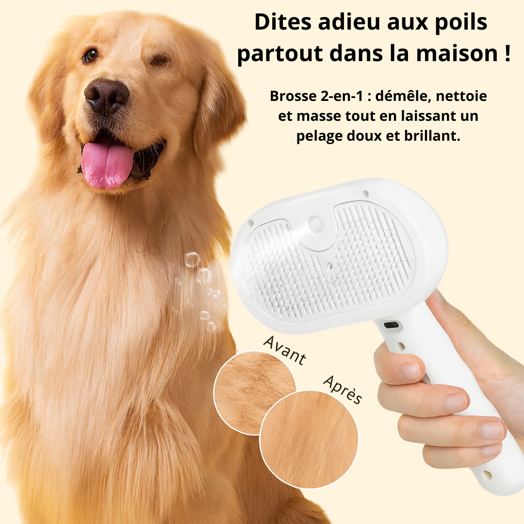 ZenBrosse — La brosse vapeur 2-en-1 qui transforme le toilettage en vrai moment de bien-être.