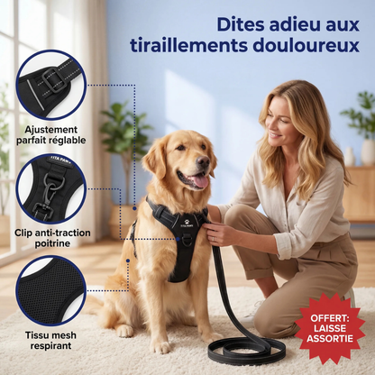 HARNAIS ANTI-TRACTION TITA PAWS™