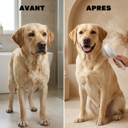 Brosse vapeur apaisante pour chien & chat