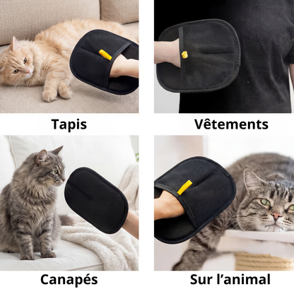 Gant anti-poils avec double brosse électrostatique