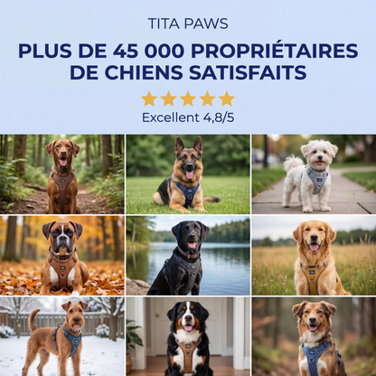 HARNAIS ANTI-TRACTION TITA PAWS™