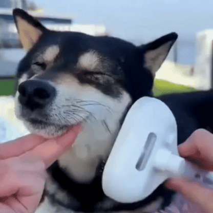 Brosse vapeur apaisante pour chien & chat