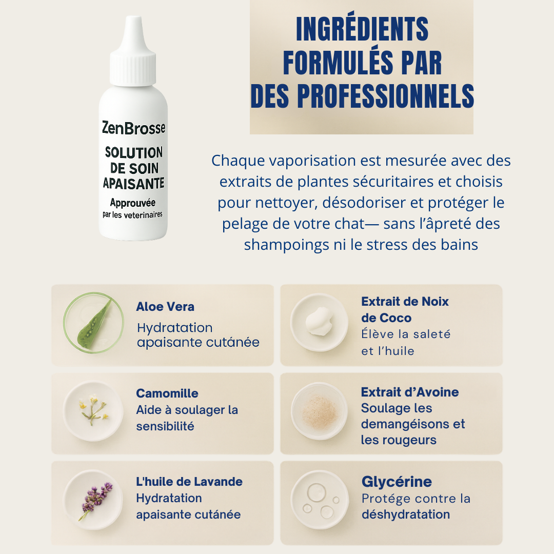 ZenBrosse Pro – Brosse vapeur apaisante pour chien