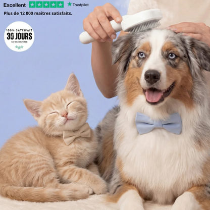Brosse vapeur apaisante pour chien & chat