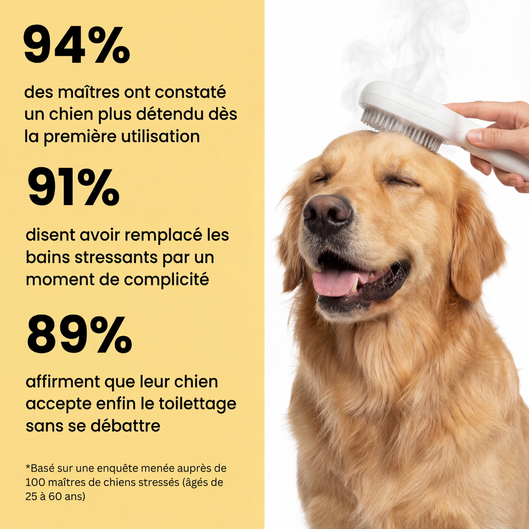 ZenBrosse Pro – Brosse vapeur apaisante pour chien
