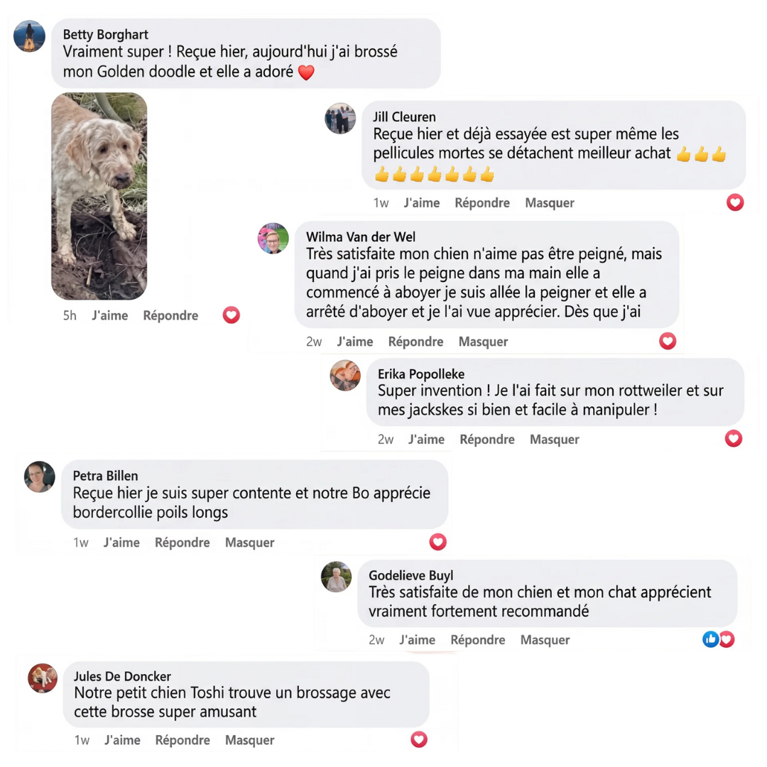 Brosse vapeur apaisante pour chien & chat