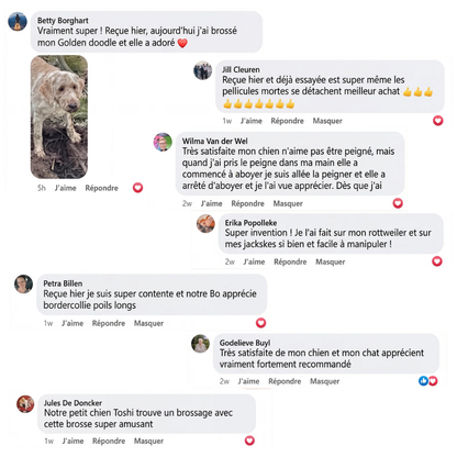 Brosse vapeur apaisante pour chien & chat